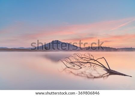Suoi Vang Lake, Da Lat The alone tree