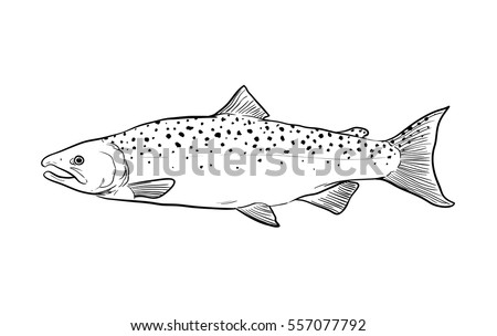 Cartoon Fish Stock Images, Royalty-Free Images & Vectors | Shutterstock