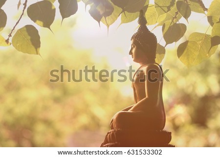 buddhistbuddha