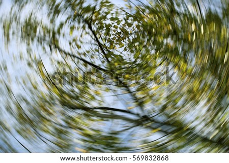 Dizzy, Abstract, Autumn, Blurred Motion, De focused/Autumn swirling trees