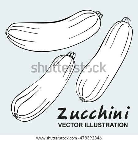 Zucchini Isolated Stock Photos, Royalty-Free Images & Vectors