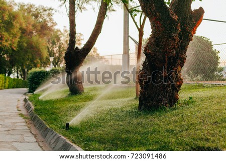 automatic drip irrigation system irrigate the hotel territory.