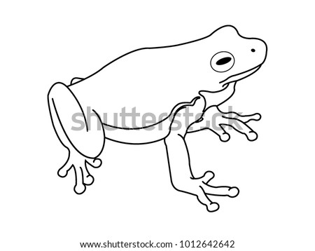 Frog Line Drawing Stock Images, Royalty-Free Images & Vectors ...