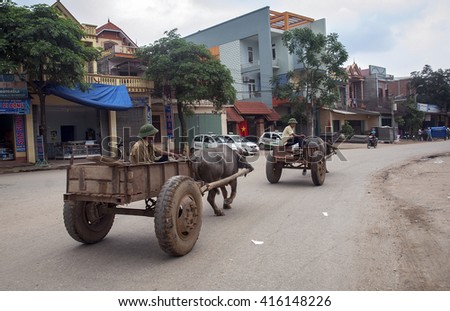 THANH HOA, Vietnam, March 8, 2016 group of men, drivers of buffalo on the road, Thanh Hoa Province, Vietnam