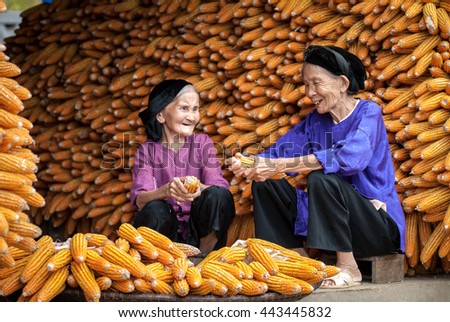 HAI DUONG, VIETNAM, February 14, 2016 two elderly, rural Hai Duong, doing housework, corn