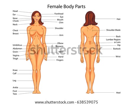 Woman Body Parts By Pic 39