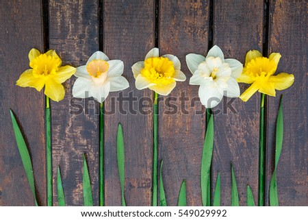 Similar images to quot;Beautiful daffodils flowers selected on wooden 