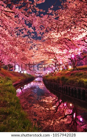画像ページを表示します 画像