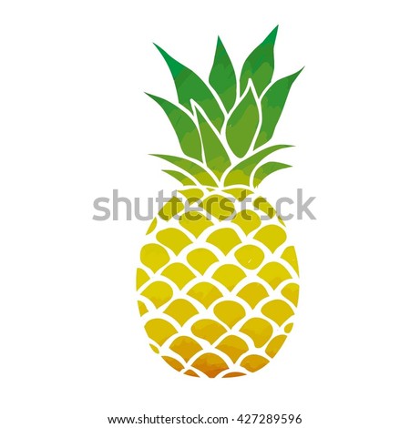 pineapple - vector illustration