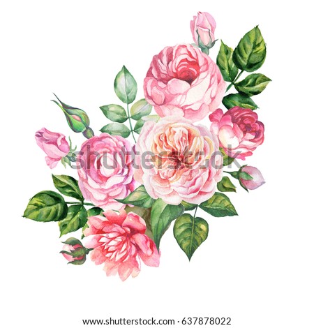 Bouquet Roses Eustoma Watercolor Can Be Stock Illustration 202751278 ...