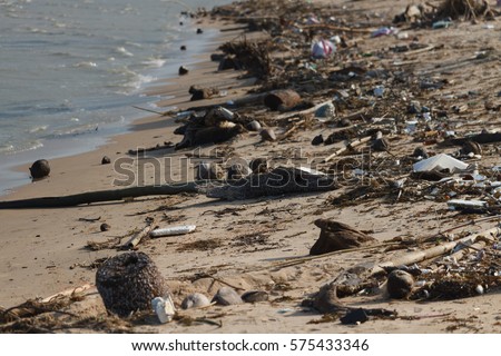 Environmental Pollution on the Beach in Thailand