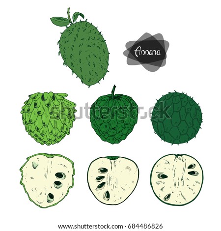 Download Soursop Stock Images, Royalty-Free Images & Vectors | Shutterstock