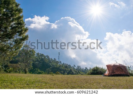 camping on the mountain