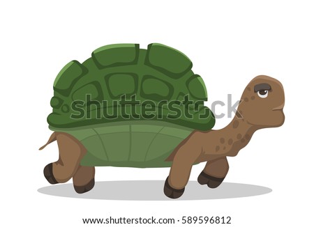 Tortoise Stock Images, Royalty-Free Images & Vectors | Shutterstock