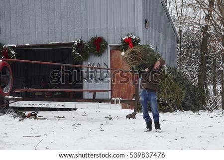 chopping christmas tree stock images royalty free images chopping christmas tree stock images royalty free images