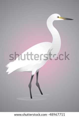 White Egret Stock Vectors & Vector Clip Art | Shutterstock