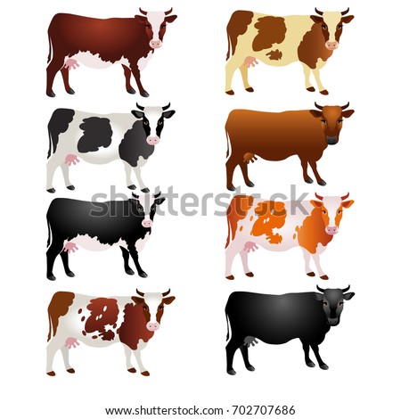 Breed Stock Images, Royalty-Free Images & Vectors | Shutterstock