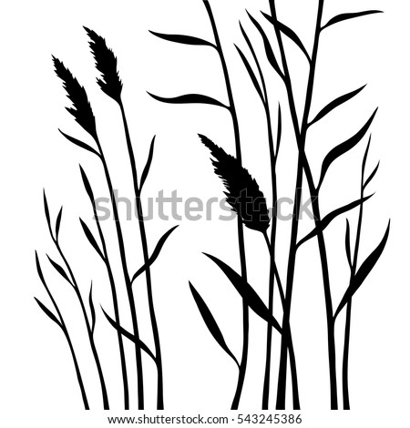 Reed Stock Images, Royalty-Free Images & Vectors | Shutterstock