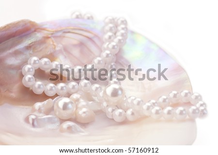 Pink pearls and necklace in an oyster shell