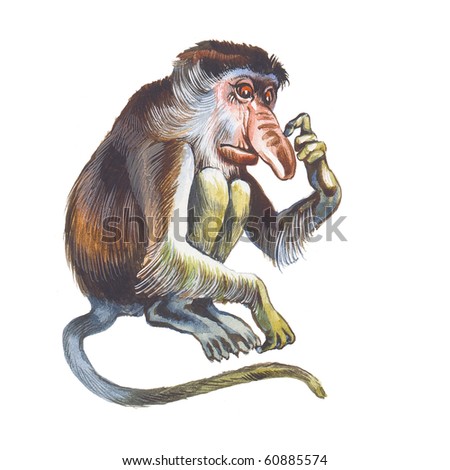 Proboscis Monkey Nasalis Larvatus Monyet Belanda Stock Proboscis Monkey Nasalis Larvatus Monyet Belanda Stock