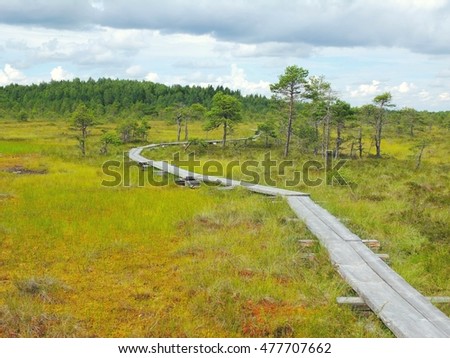 Resultado de imagem para Parque Nacional Torronsuo, Finlândia