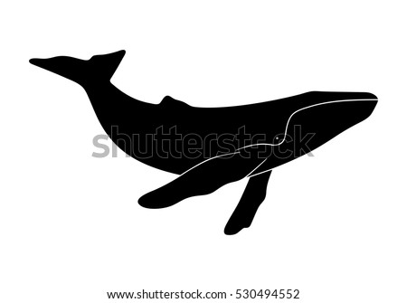 stock vector silhouette of humpback whale illustration isolated on white background 530494552