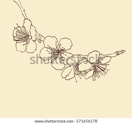 blossoming tree flowers line art hand stock vector blossoming tree flowers line art hand stock vector