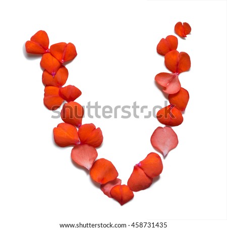 Letter Vmade From Red Balsam Petals Isolated On White Background Set Letter Vmade From Red Balsam Petals Isolated On White Background Set