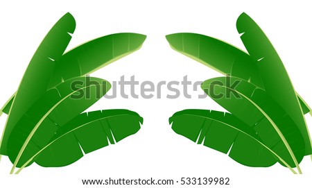 Banana Tree Stock Images, Royalty-Free Images & Vectors | Shutterstock