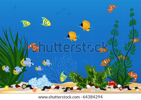 Aquarium