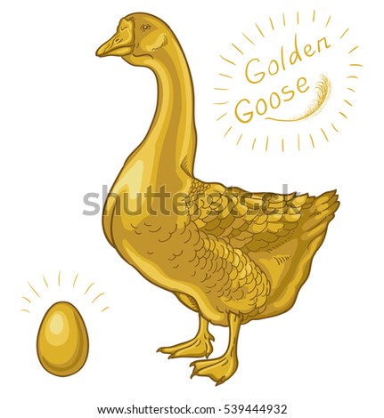 Goose Stock Images, Royalty-Free Images & Vectors | Shutterstock