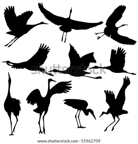 Crane-bird Stock Images, Royalty-Free Images & Vectors | Shutterstock