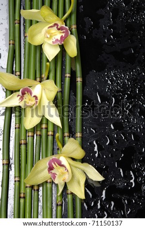 stock image of the spa concept -three orchid with bamboo grove on wet black background