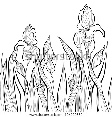 Iris Flower Stock Vectors & Vector Clip Art | Shutterstock