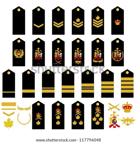 Epaulets Military Ranks Insignia Illustration On Stock Vector 117796048 ...