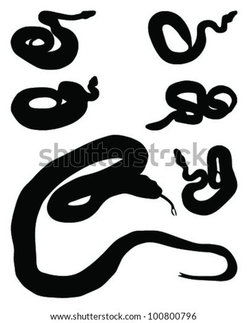 Snake Silhouette Stock Photos, Images, & Pictures | Shutterstock