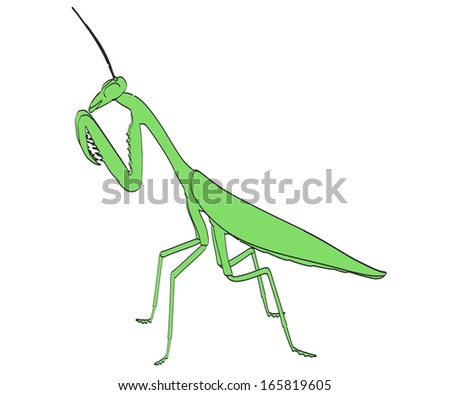 Cartoon Image Praying Mantis Stock Illustration 165819605 - Shutterstock