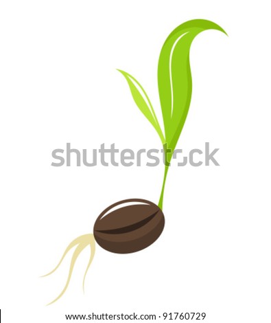 Tree Seed Stock Photos, Images, & Pictures | Shutterstock