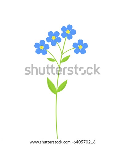 Forget Me Not Flowers Stock Images, Royalty-Free Images & Vectors