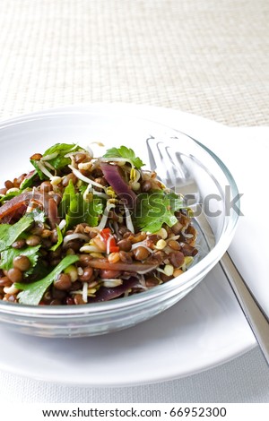 Selective focus image of an Asian Lentil salad. - stock photo