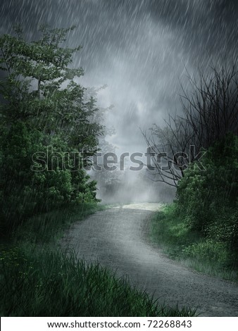 Dark Rainy Landscape Forest Road Stock Illustration 72268843 - Shutterstock