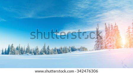 Majestic winter landscape glowing by sunlight in the morning. Dramatic wintry scene. Location Carpathian, Ukraine, Europe. Beauty world. Retro and vintage style, soft filter. Instagram toning effect.