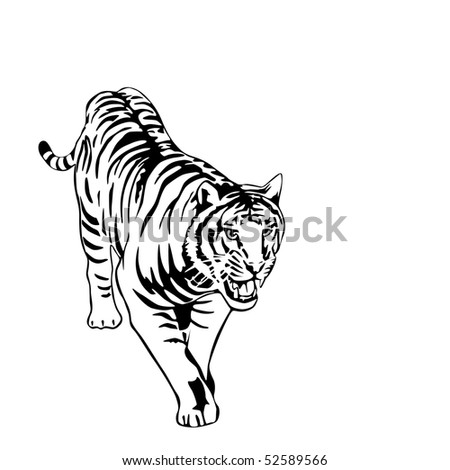 Tiger Walking Stock Images, Royalty-Free Images & Vectors | Shutterstock