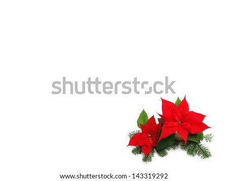 Christmas Flowers Stock Photos, Images, & Pictures | Shutterstock