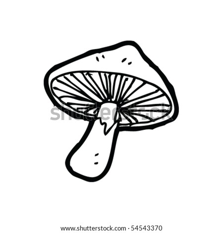 Mushroom Drawing Stock Vector 54543370 - Shutterstock