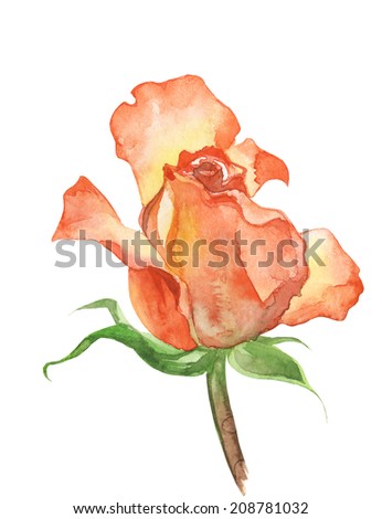 Watercolor Floral Illustration Rose Stock Illustration 103395341 ...