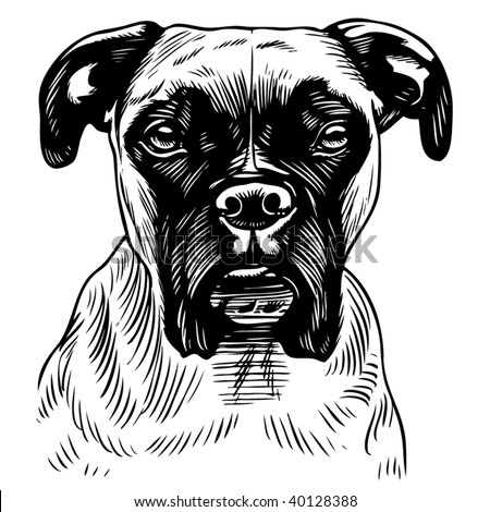 Boxer Dog Stock Vectors & Vector Clip Art | Shutterstock