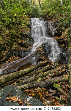 Hollow Log Stock Images, Royalty-Free Images & Vectors | Shutterstock