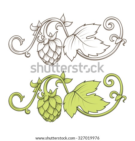 Hops Stock Photos, Royalty-Free Images & Vectors - Shutterstock