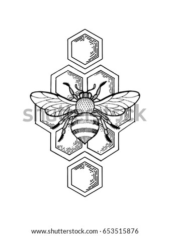 Hand Drawn Bee Stock Images, Royalty-free Images & Vectors 